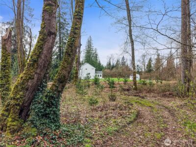 23670 SE 448th Street , Enumclaw, WA 98022 - Photo 36