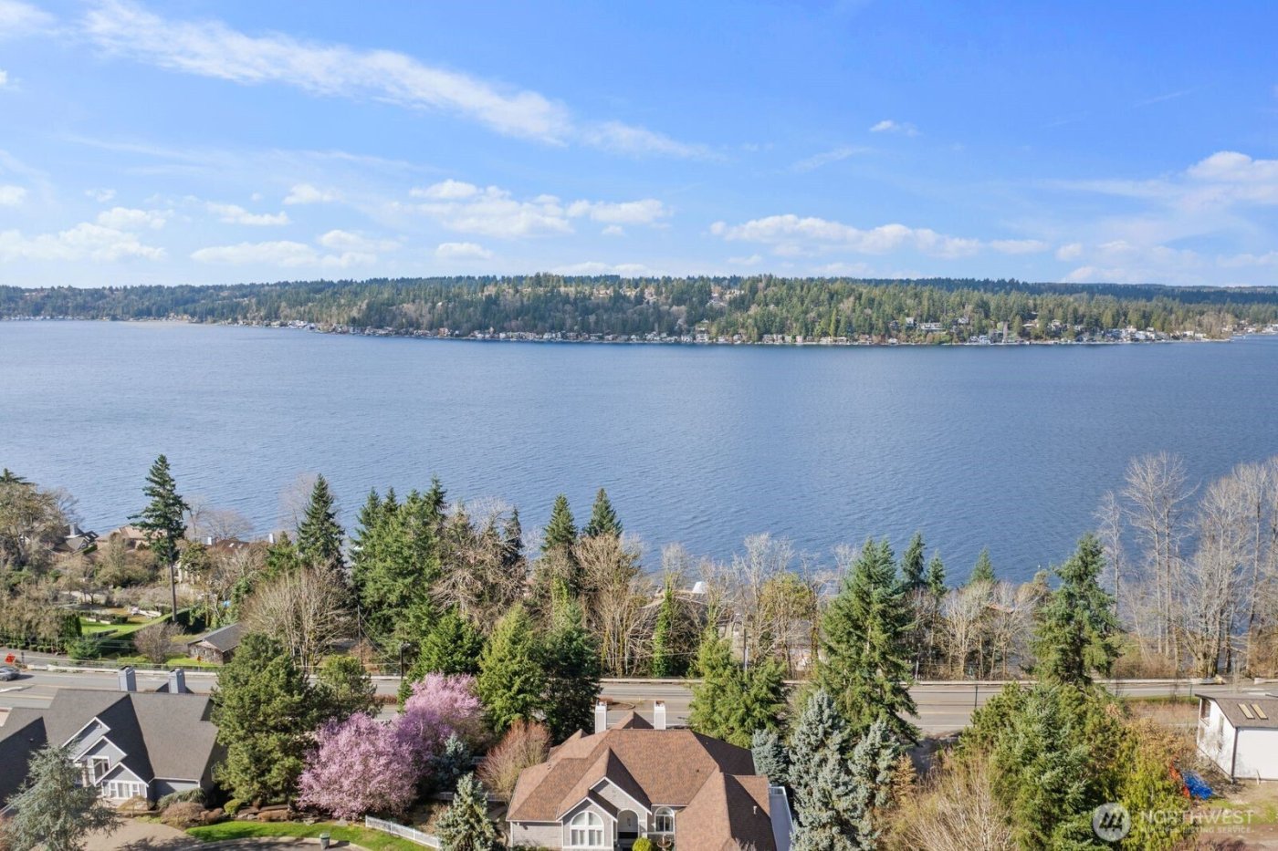 1665 204th Avenue NE, Sammamish, WA 98074