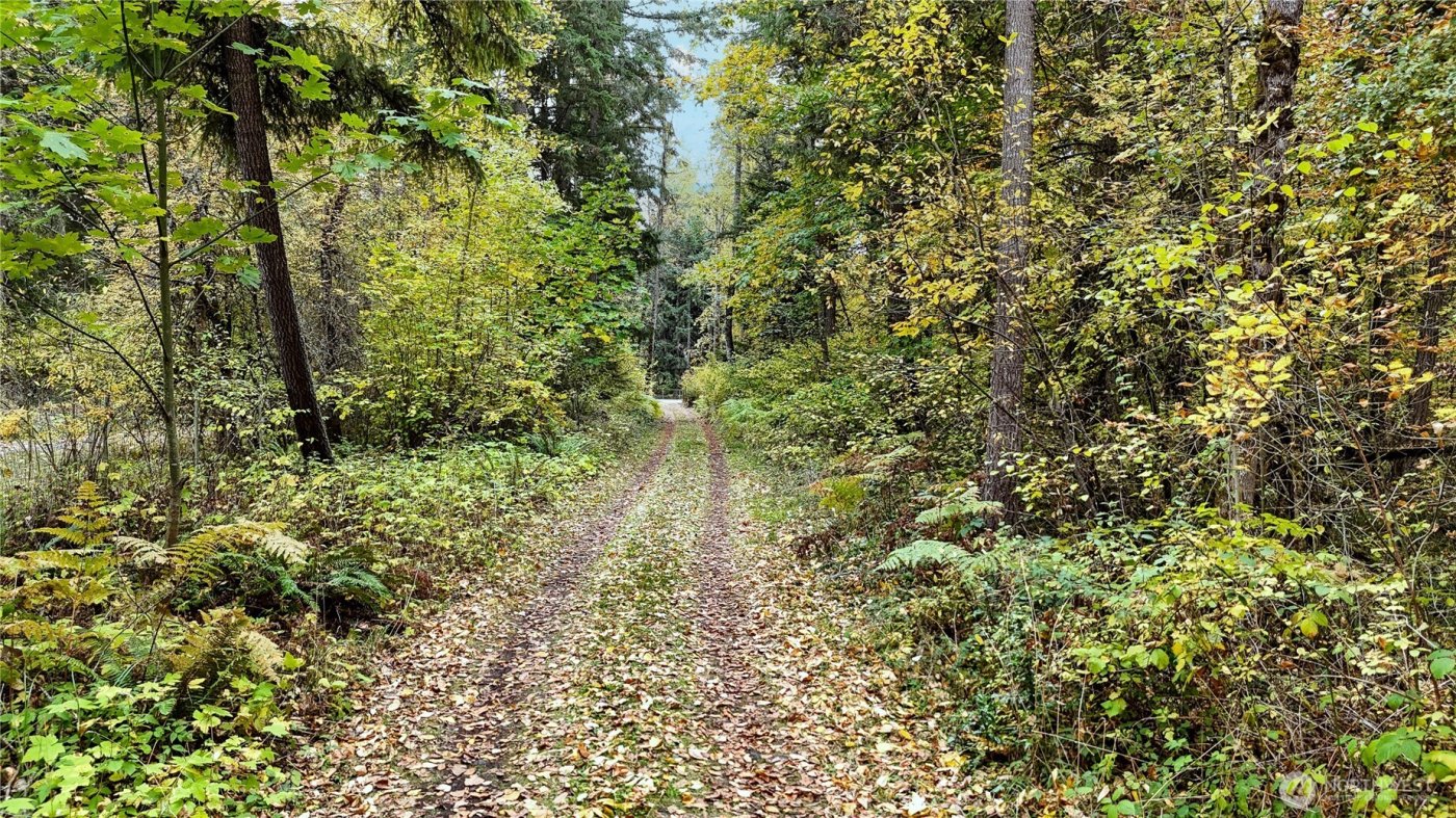 19836 161st Way SE, Yelm, WA 98597