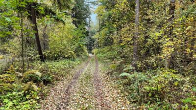 19836 161st Way SE, Yelm, WA 98597 - Photo 15