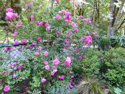 4929 Black Lake Boulevard SW, Olympia, WA 98502 - Photo 31