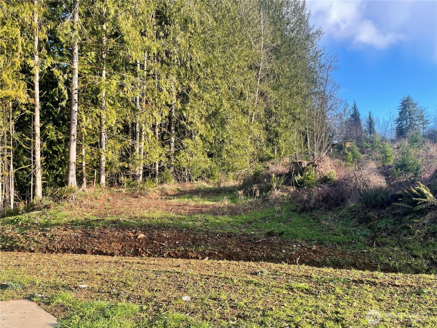 236 Pattee Road , Chehalis, WA 98532