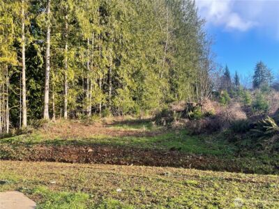 236 Pattee Road , Chehalis, WA 98532 - Photo 13