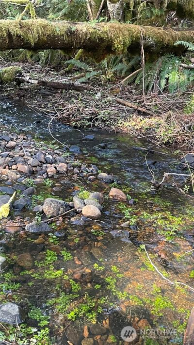 236 Pattee Road , Chehalis, WA 98532 - Photo 14