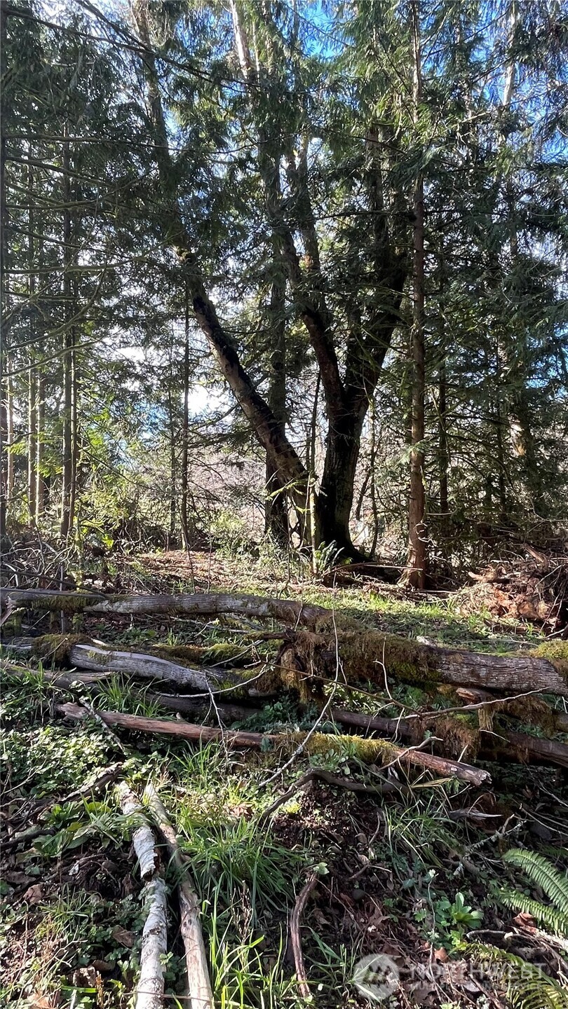 236 Pattee Road , Chehalis, WA 98532