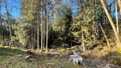 236 Pattee Road , Chehalis, WA 98532 - Photo 16