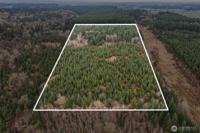 0 End of Smith Road , Centralia, WA 98531 - Photo 1