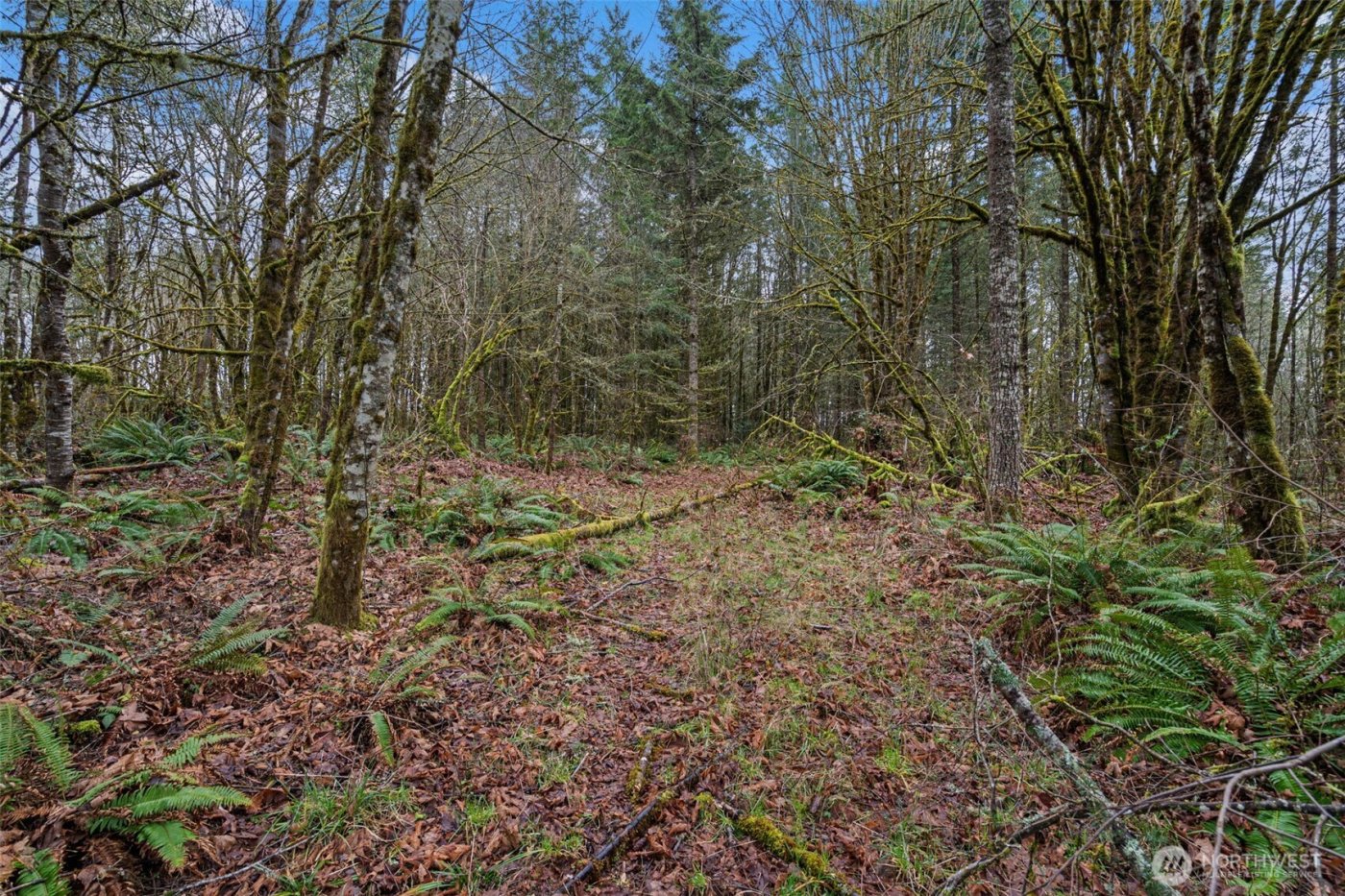 0 End of Smith Road , Centralia, WA 98531