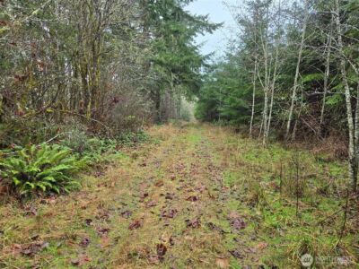 0 End of Smith Road , Centralia, WA 98531 - Photo 12