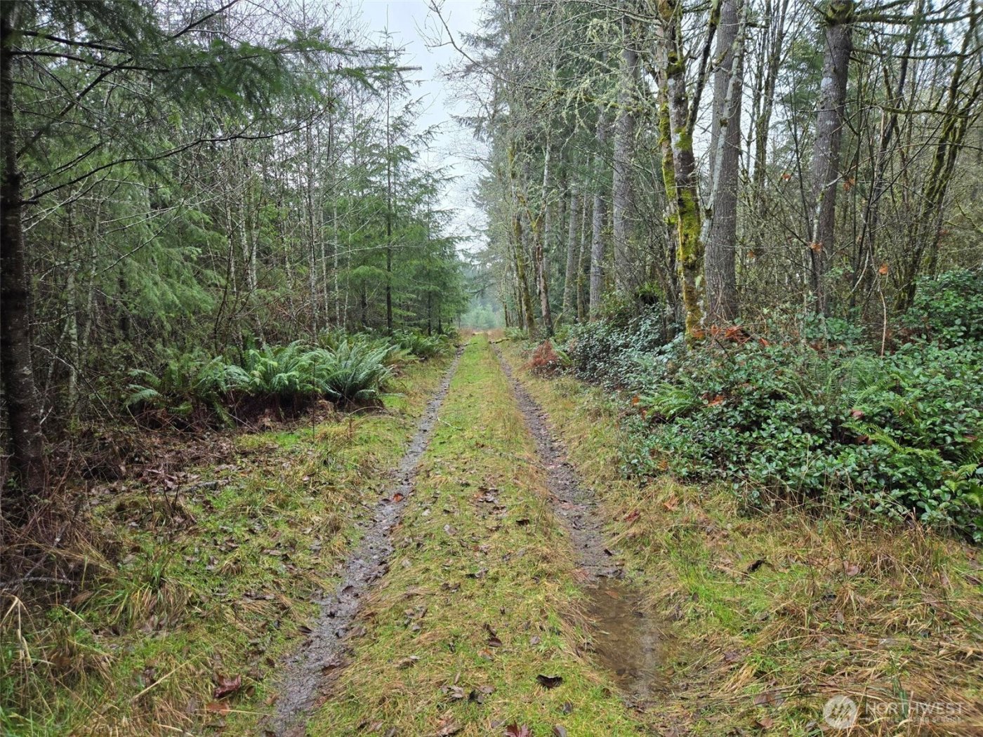 0 End of Smith Road , Centralia, WA 98531