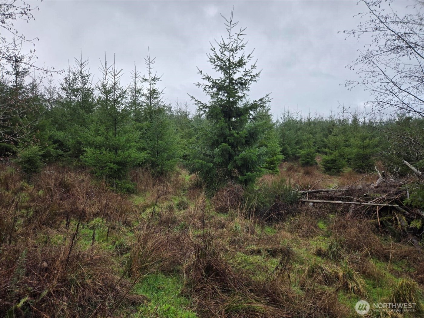 0 End of Smith Road , Centralia, WA 98531