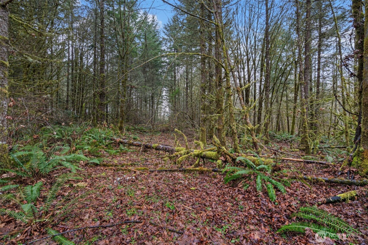 0 End of Smith Road , Centralia, WA 98531