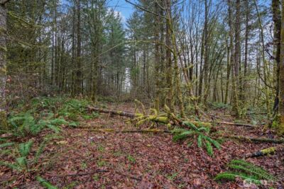 0 End of Smith Road , Centralia, WA 98531 - Photo 15