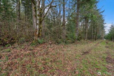 0 End of Smith Road , Centralia, WA 98531 - Photo 16