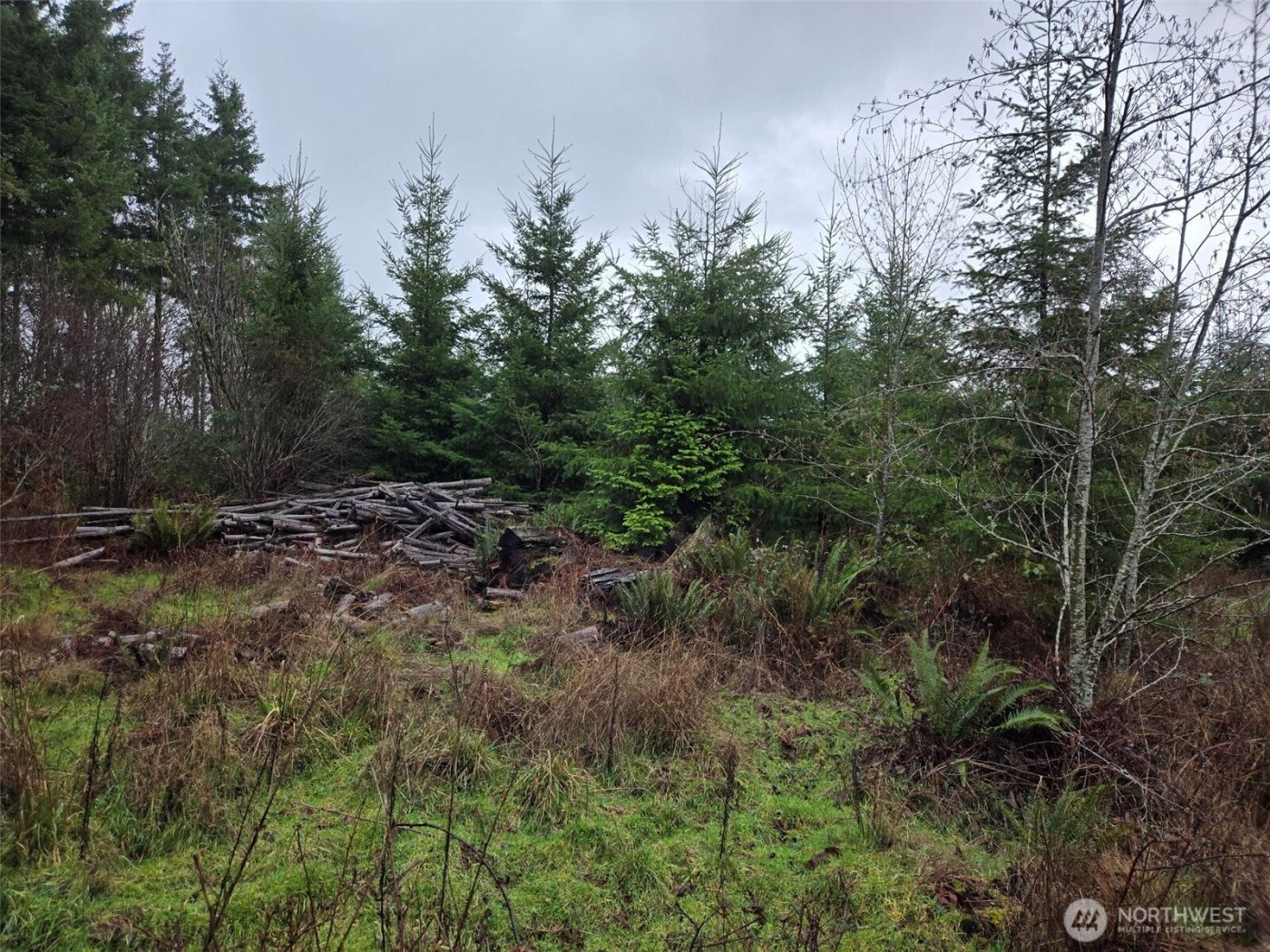 0 End of Smith Road , Centralia, WA 98531