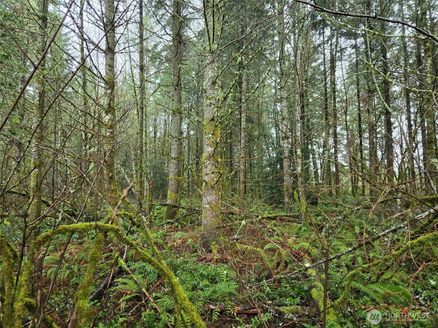 0 End of Smith Road , Centralia, WA 98531