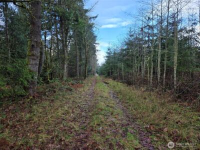 0 End of Smith Road , Centralia, WA 98531 - Photo 19