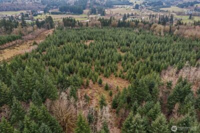 0 End of Smith Road , Centralia, WA 98531 - Photo 2