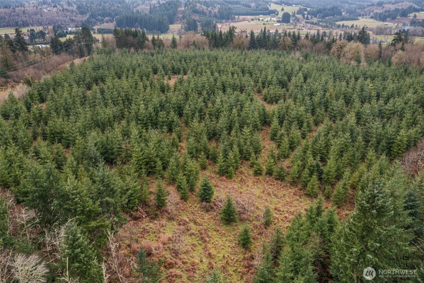 0 End of Smith Road , Centralia, WA 98531