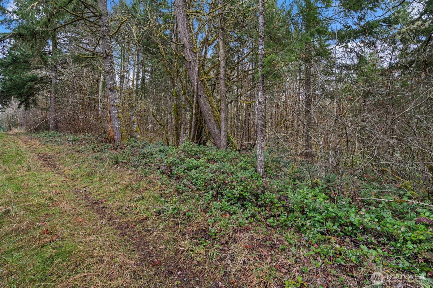 0 End of Smith Road , Centralia, WA 98531