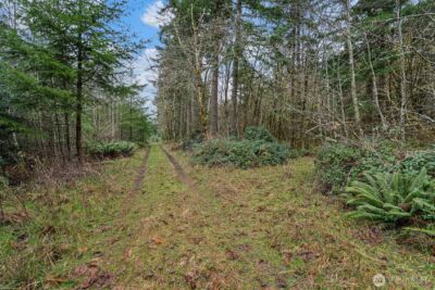 0 End of Smith Road , Centralia, WA 98531 - Photo 8