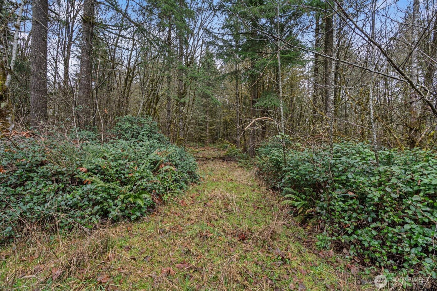 0 End of Smith Road , Centralia, WA 98531