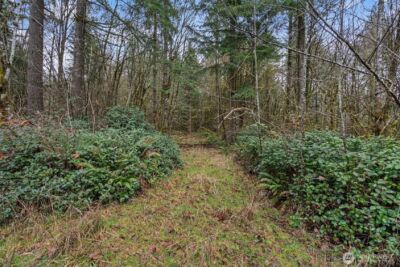 0 End of Smith Road , Centralia, WA 98531 - Photo 9