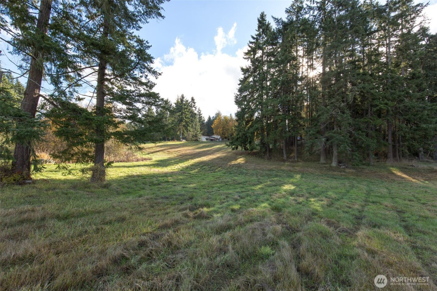 9999 Levig Road , Port Angeles, WA 98362