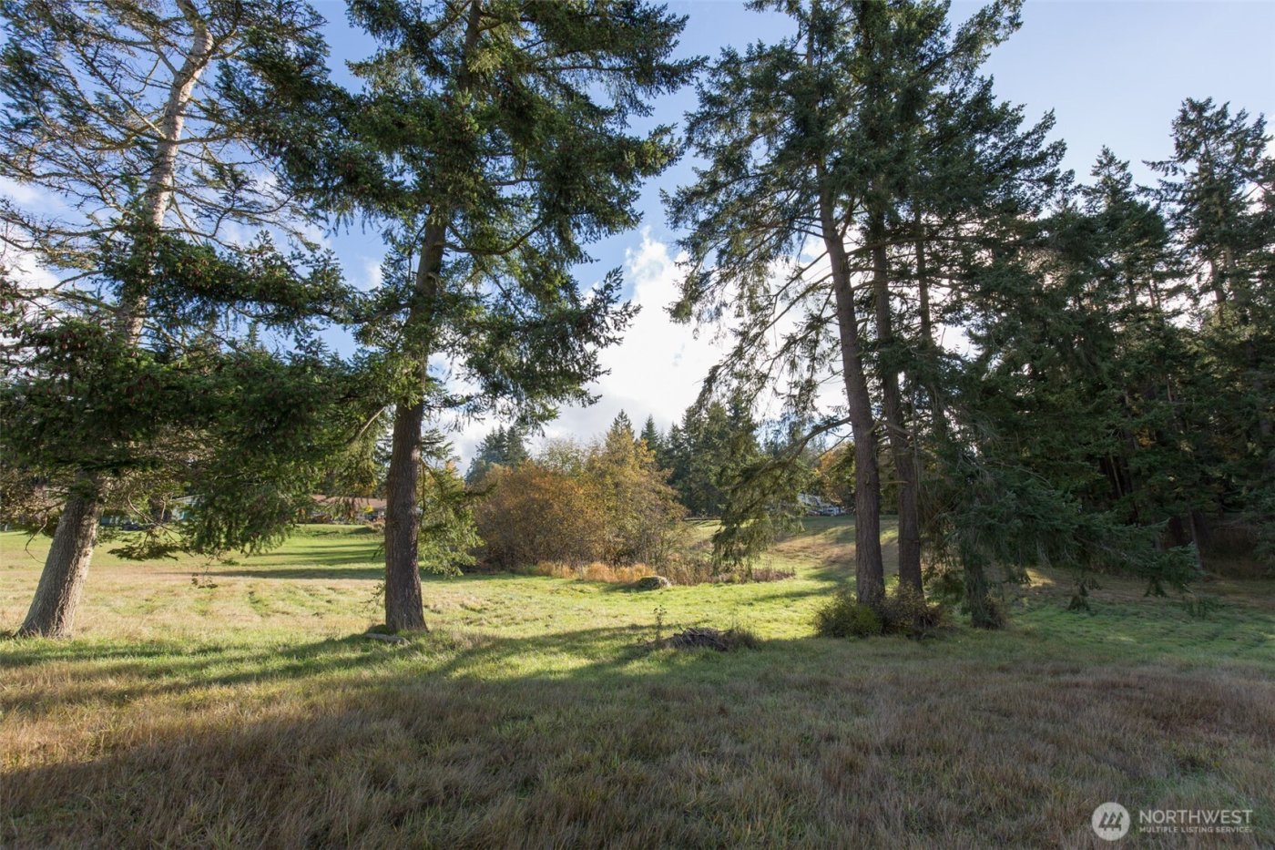 9999 Levig Road , Port Angeles, WA 98362