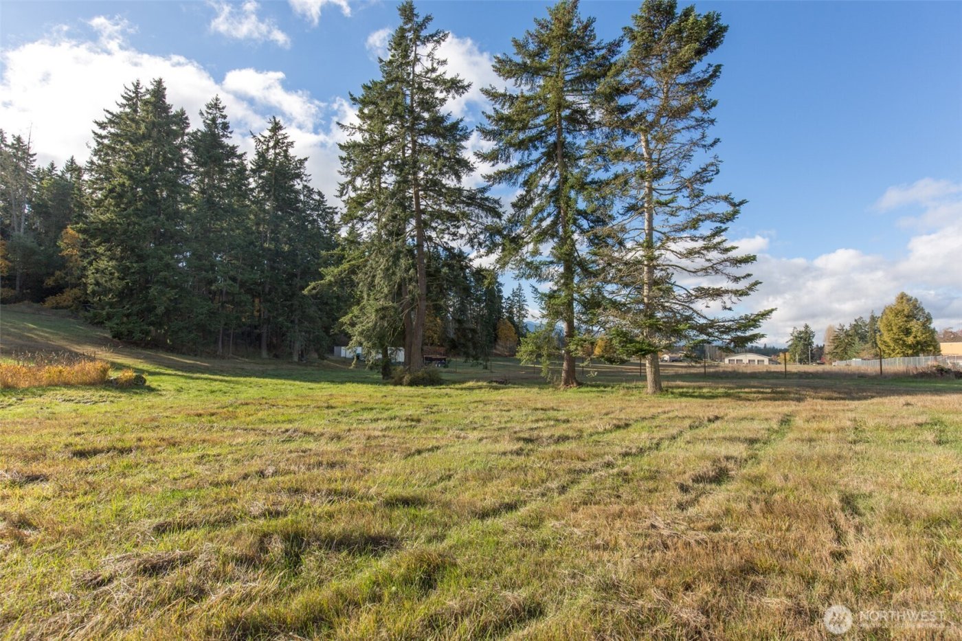 9999 Levig Road , Port Angeles, WA 98362