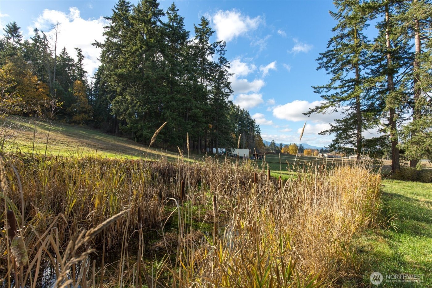 9999 Levig Road , Port Angeles, WA 98362