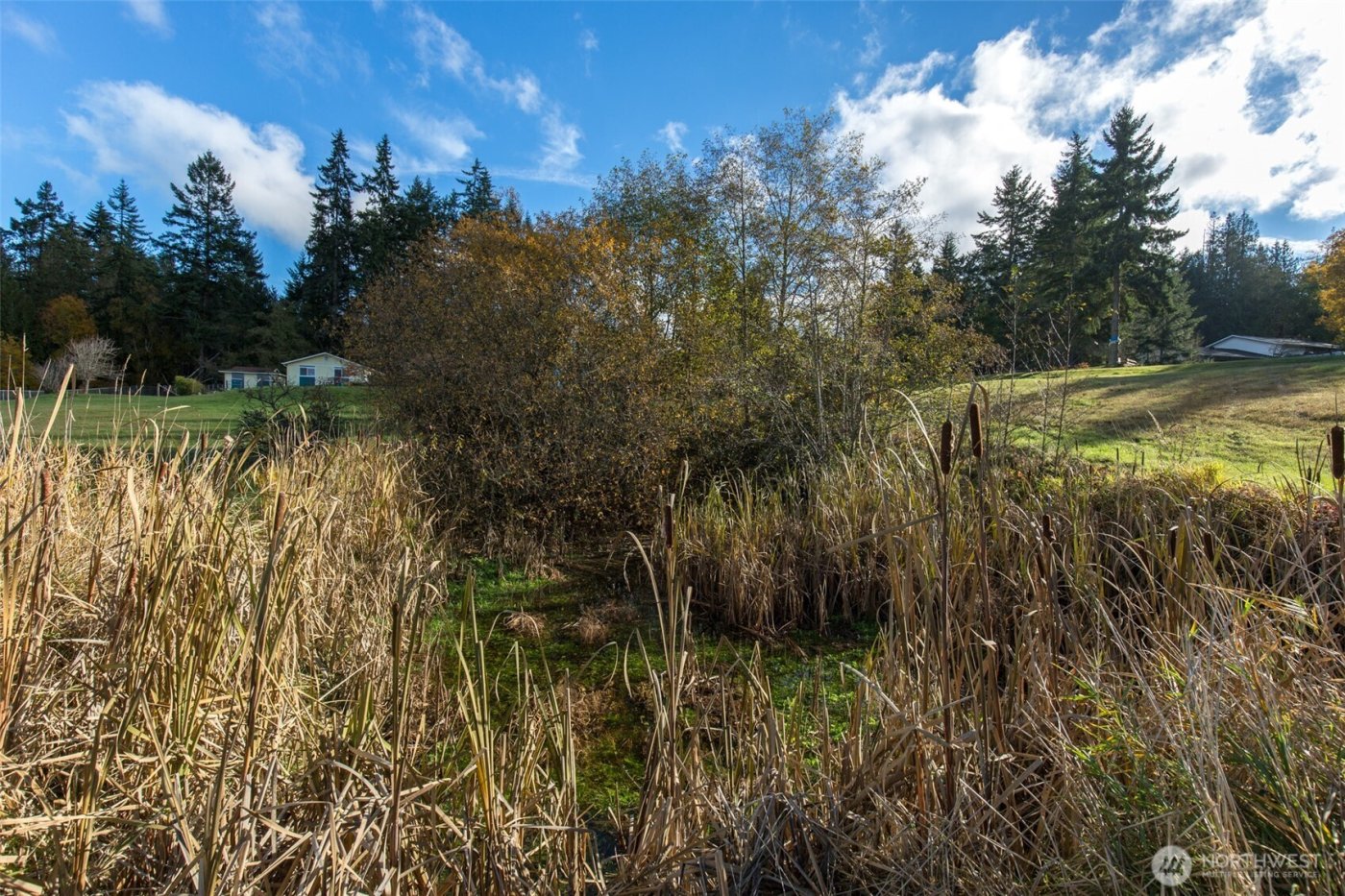 9999 Levig Road , Port Angeles, WA 98362