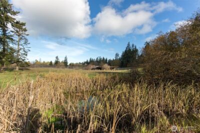 9999 Levig Road , Port Angeles, WA 98362 - Photo 23