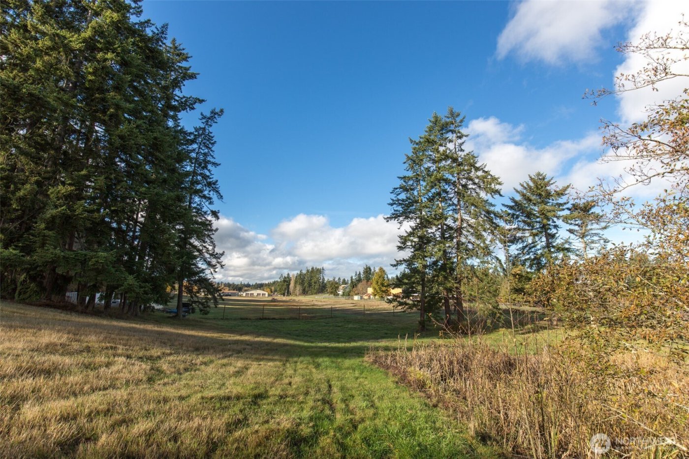 9999 Levig Road , Port Angeles, WA 98362