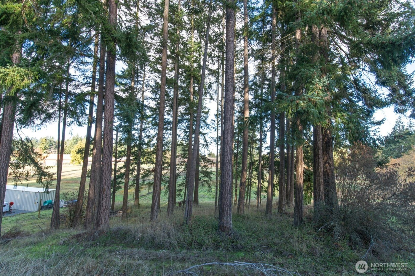 9999 Levig Road , Port Angeles, WA 98362