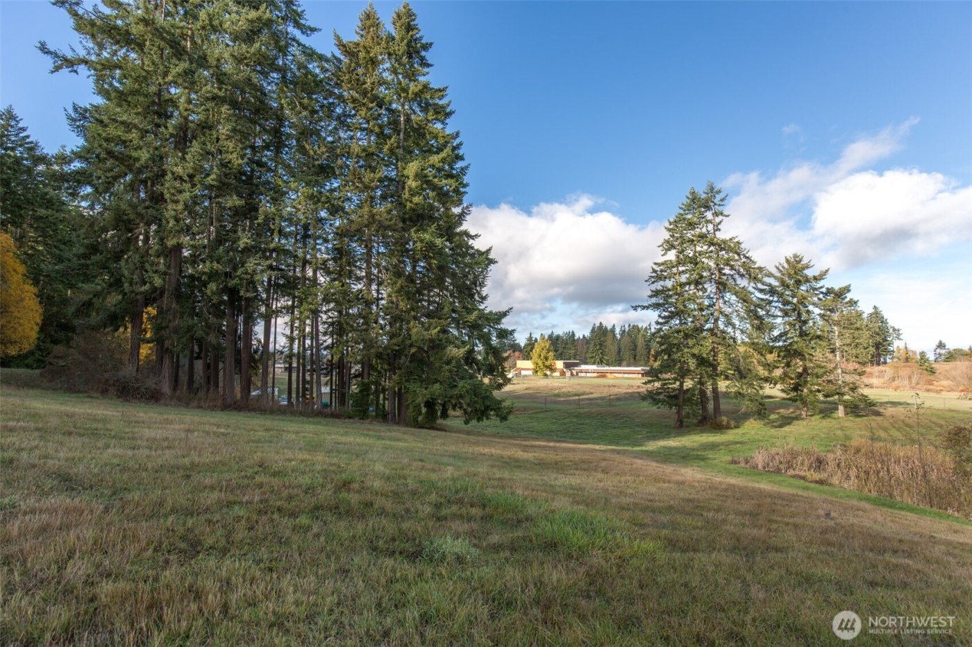 9999 Levig Road , Port Angeles, WA 98362