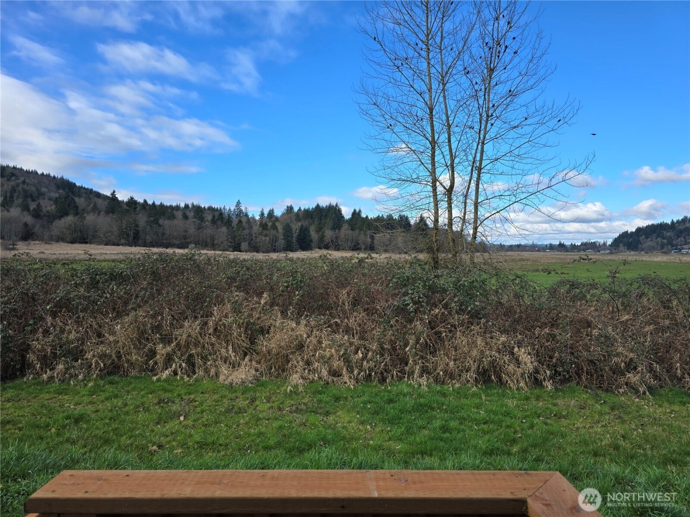 164 Nix Lane , Centralia, WA 98531