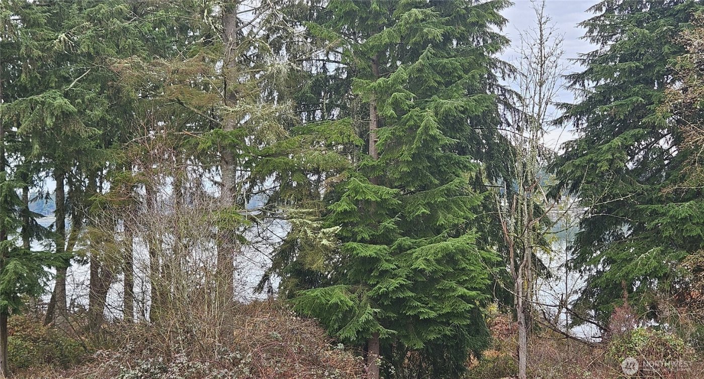 21324 61st Street Ct E, Bonney Lake, WA 98391