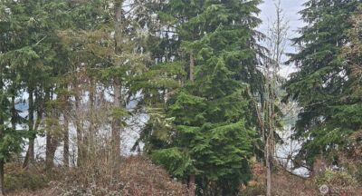 21324 61st Street Ct E, Bonney Lake, WA 98391 - Photo 33