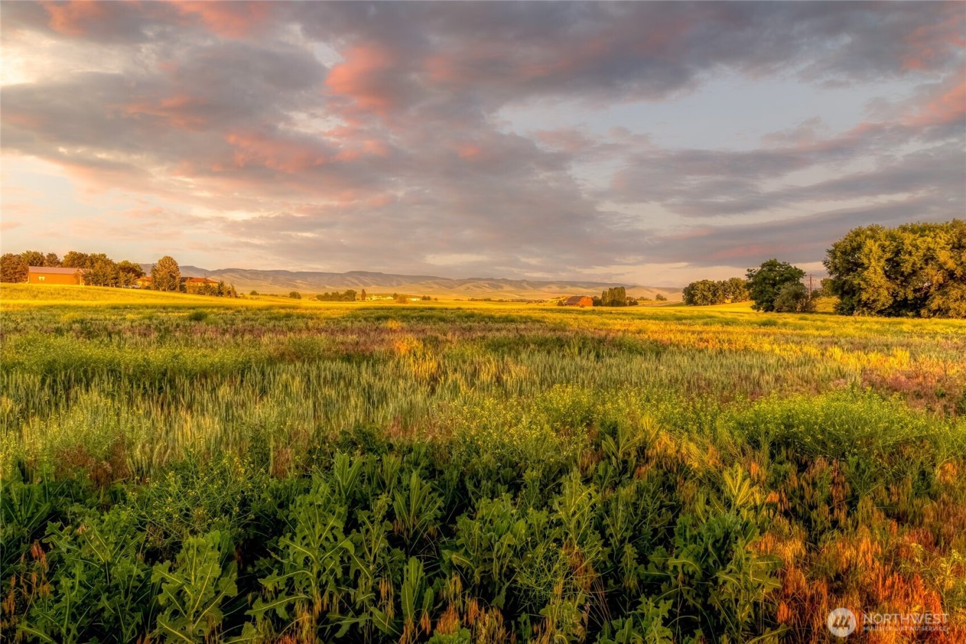 1519 Whiteley Road , Walla Walla, WA 99362