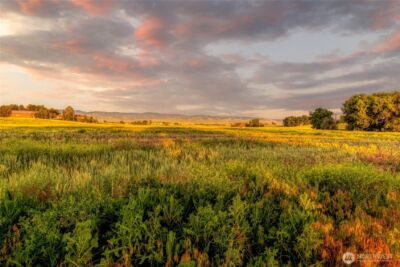 1519 Whiteley Road , Walla Walla, WA 99362 - Photo 4