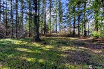 40815 Dorman Road , Gold Bar, WA 98251 - Photo 20