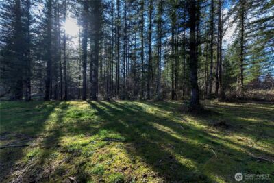 40815 Dorman Road , Gold Bar, WA 98251 - Photo 21