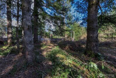 40815 Dorman Road , Gold Bar, WA 98251 - Photo 22
