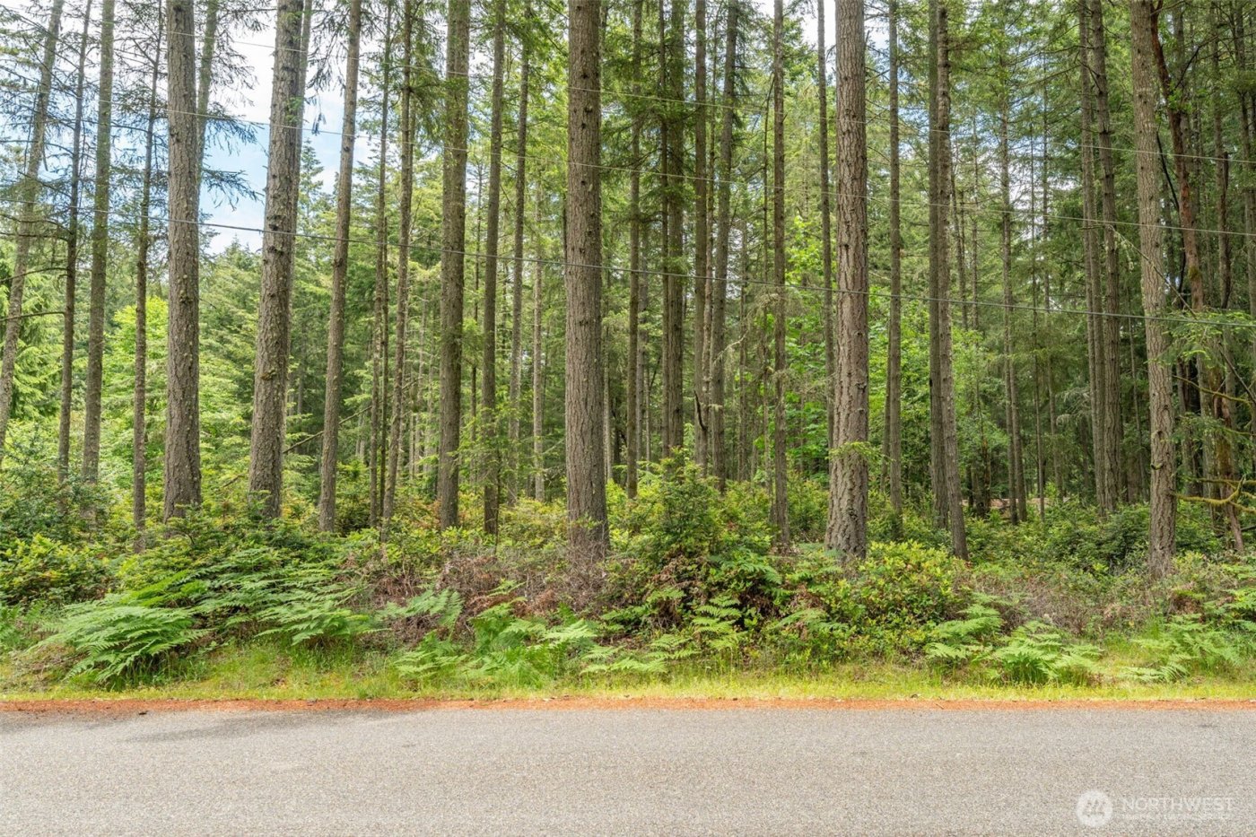 10409 Tahoma Dr, Anderson Island , Anderson Island, WA 98303