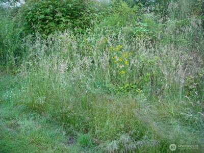 613 E 56th Street , Tacoma, WA 98404