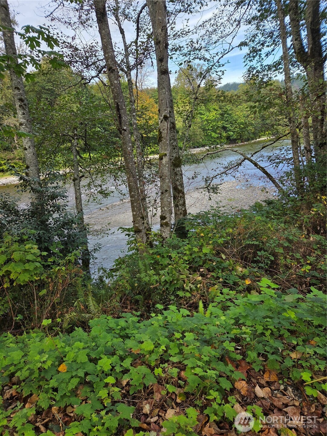 12327 276th Street NE, Arlington, WA 98223