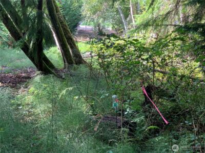 1239 Nooksack Drive , Fox Island, WA 98333 - Photo 9