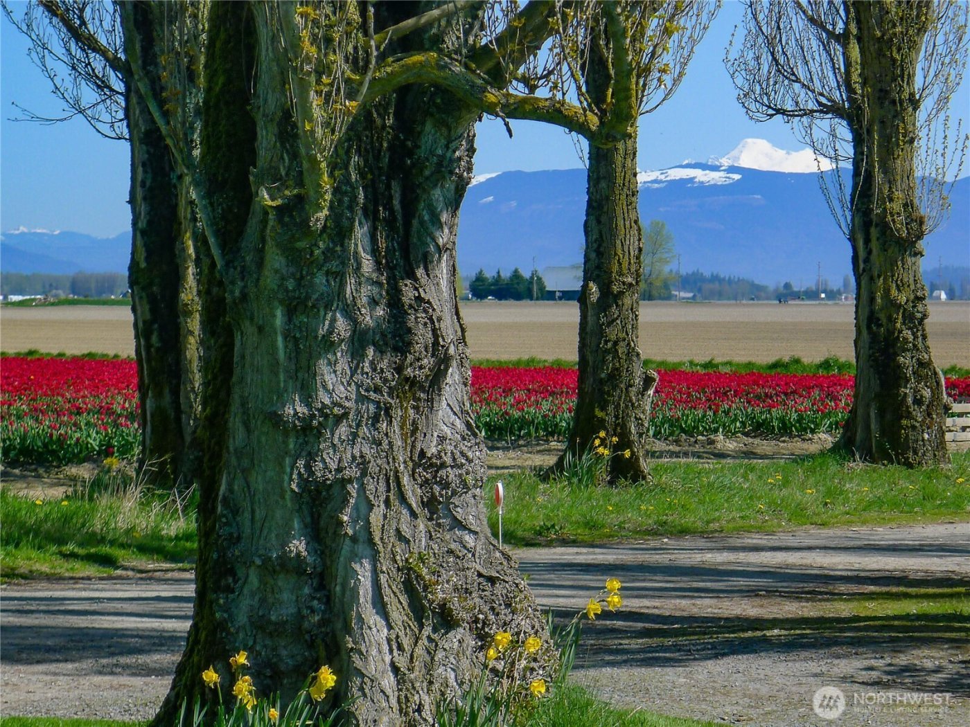 16005 La Conner Whitney Road , La Conner, WA 98257