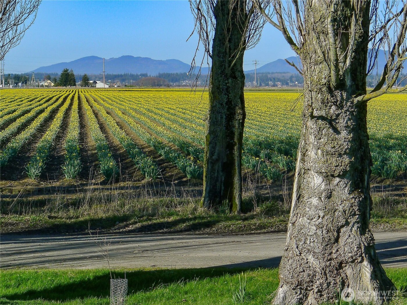 16005 La Conner Whitney Road , La Conner, WA 98257